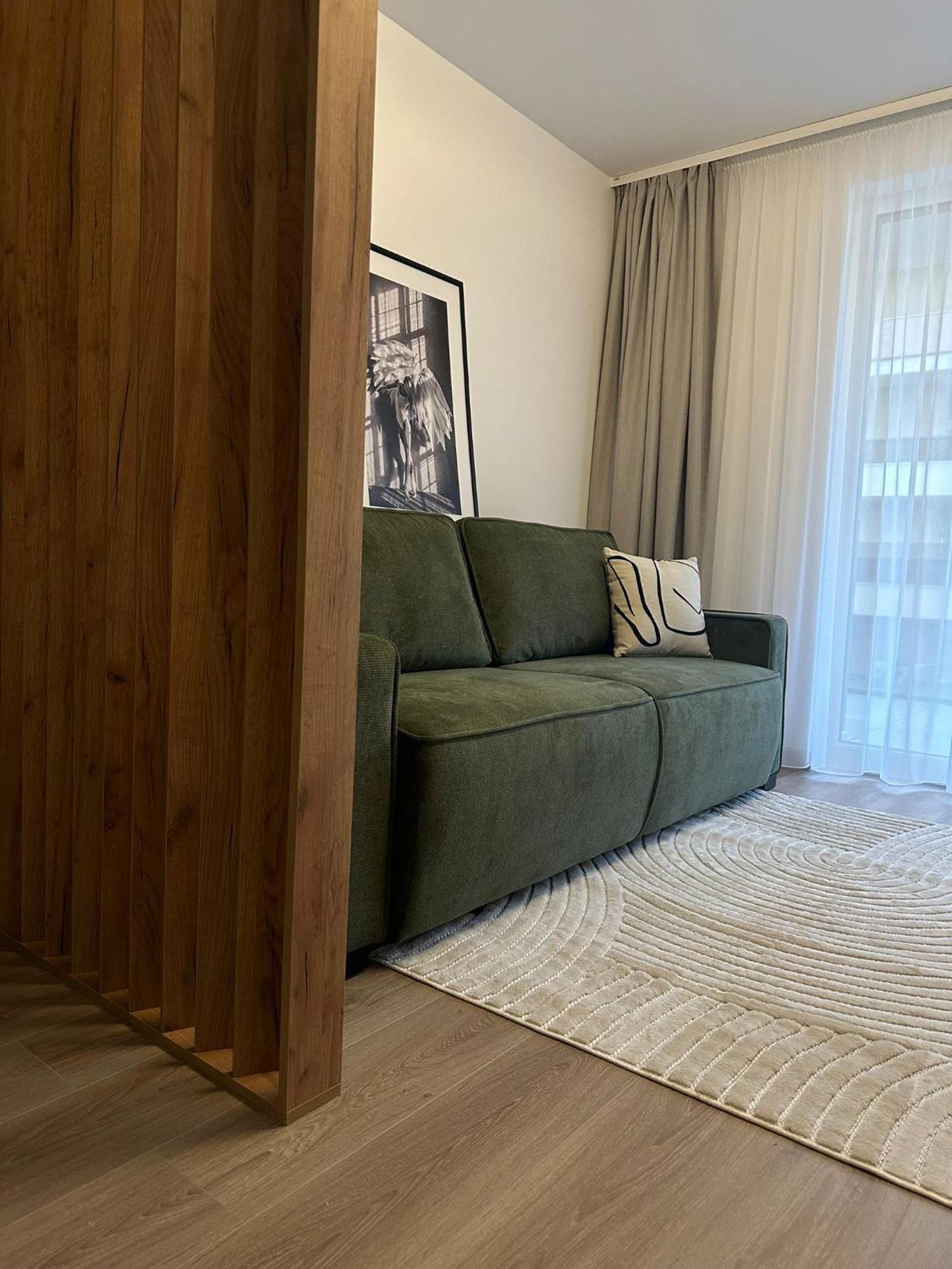 Carpathian Studio Brasov Ngoại thất bức ảnh